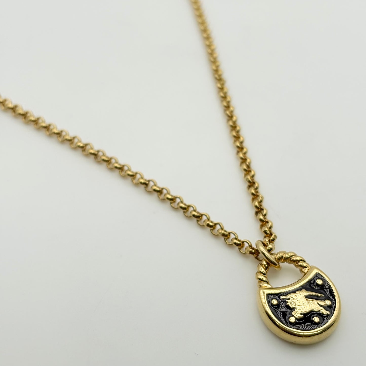 Burberry ネックレス