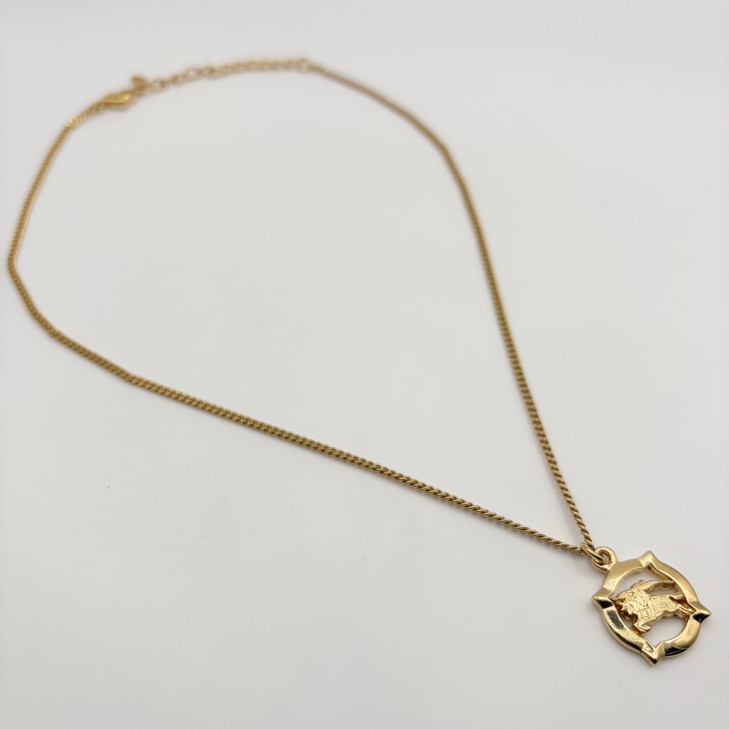 Burberry ネックレス