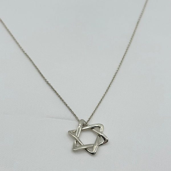 Tiffany＆Co. ネックレス 69